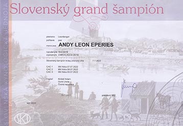 Andy se stal Slovenský Grandšamp.